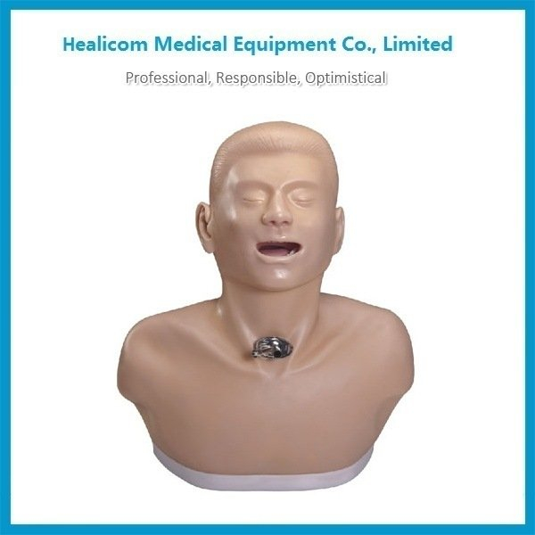 Mannequin modèle de soins de trachéotomie pour adultes H-70