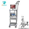 Endoscope vidéo vétérinaire médical pour petits animaux WET-6000 de haute qualité