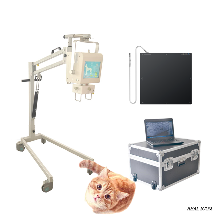 Prix ​​bon marché WTX-05DR Vétérinaire Vétérinaire Médical Numérique Portable Machine à rayons X pour animal