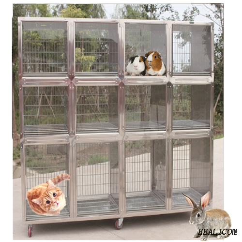Cages pour animaux vétérinaires de haute qualité WTC-08 Cage pour animaux de compagnie en acier inoxydable